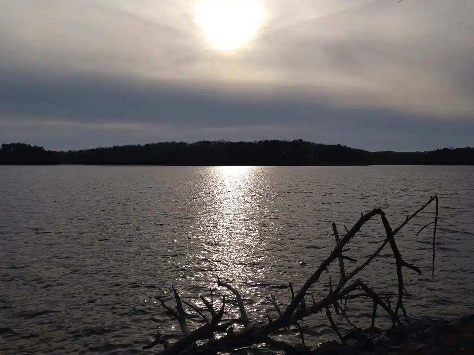 Winter sun over Lake Lanier from the Gainesville shore, driftwood in the foreground